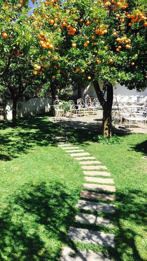 מלון מטה Palazzo Cacace Relais מראה חיצוני תמונה