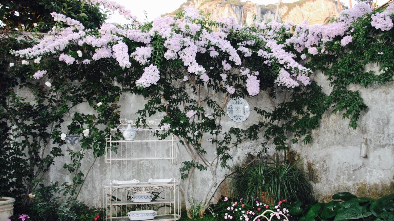 מלון מטה Palazzo Cacace Relais מראה חיצוני תמונה