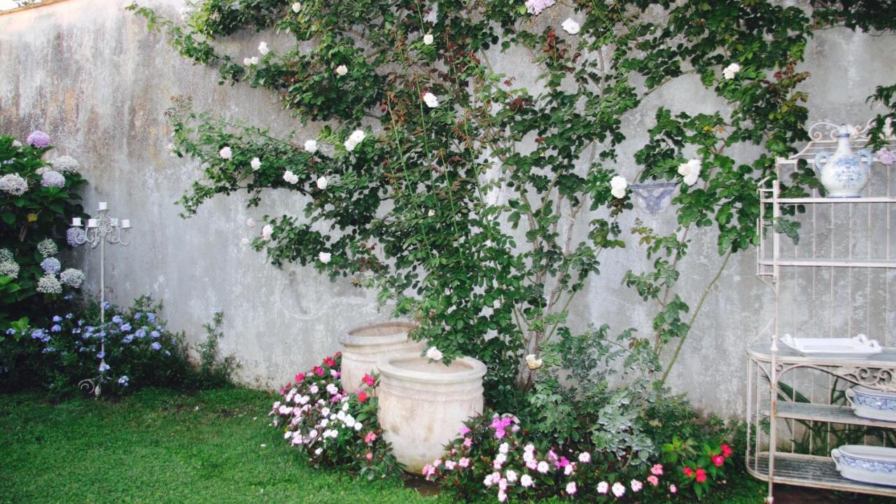 מלון מטה Palazzo Cacace Relais מראה חיצוני תמונה